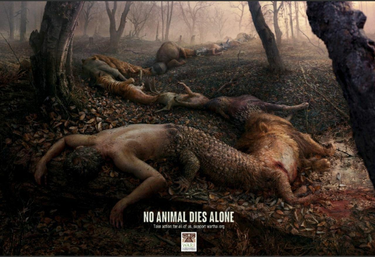 تبلیغات چاپی در اعتراض به کشتار حیوانات